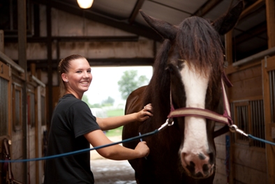 female student brushing a brown horse in a barn