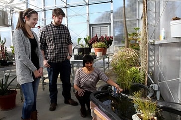 students working in a greenhouse 