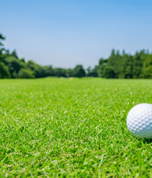 A golf ball on the green