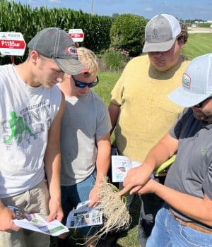 Agriculture students examine the roots of a corn plant for rootworm damage.