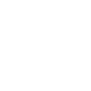 Wrench Icon