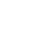 fingerprint icon