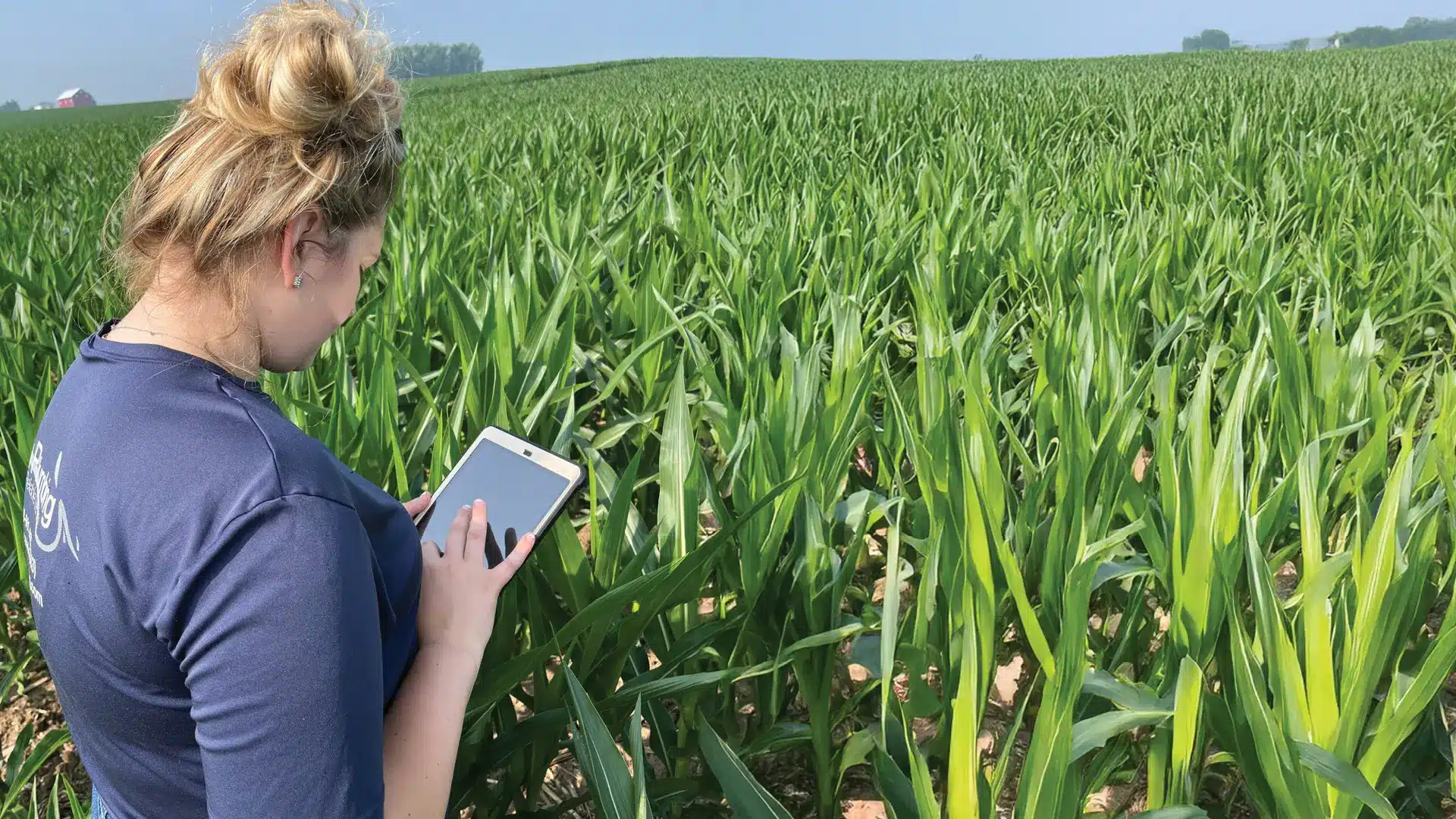 Woman in corn with ipad