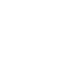 apple icon