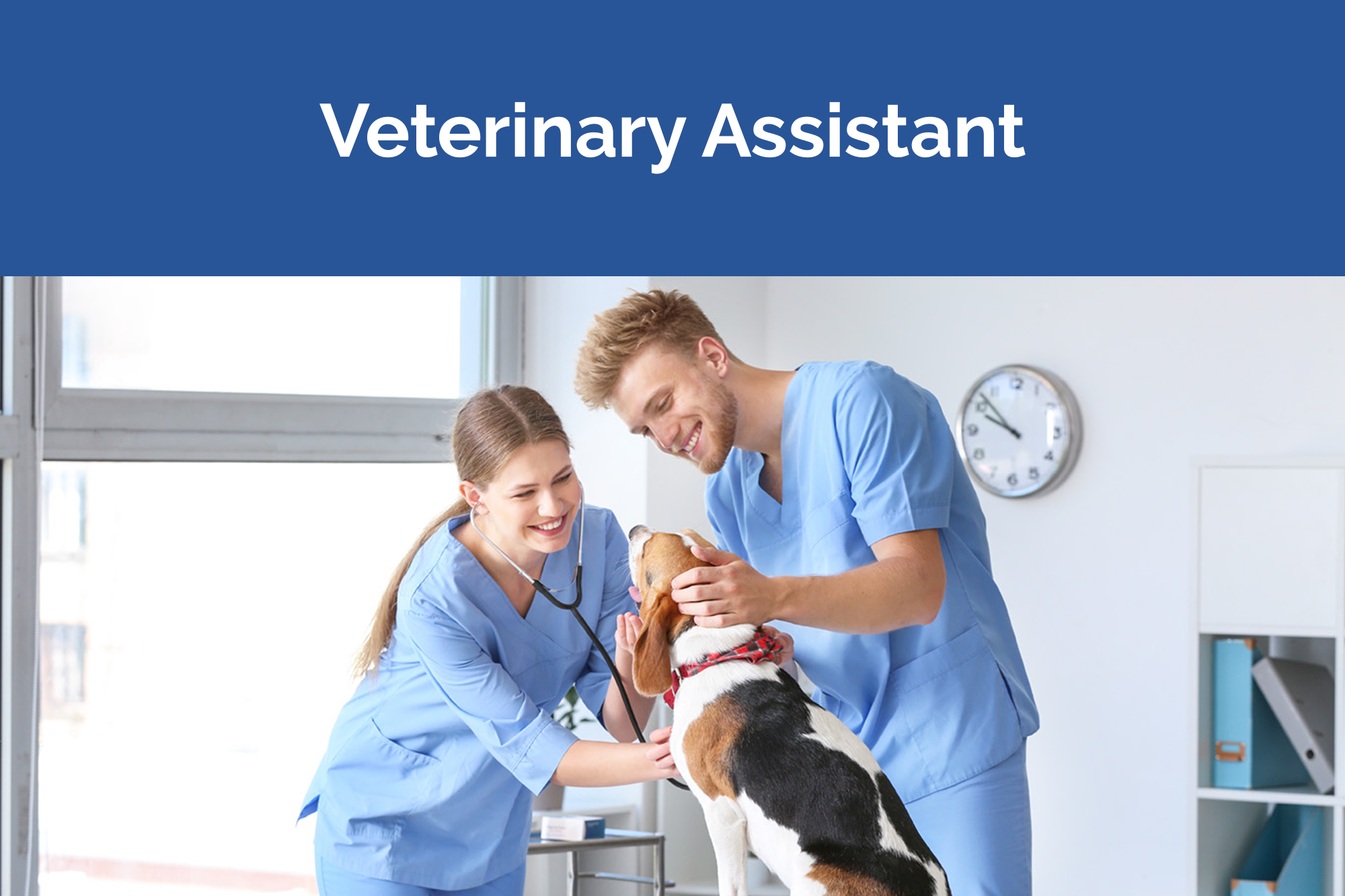 Veterinary Assistant 