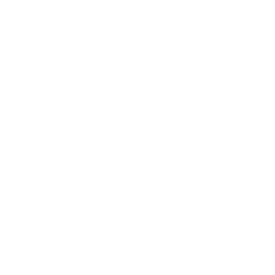 apple icon